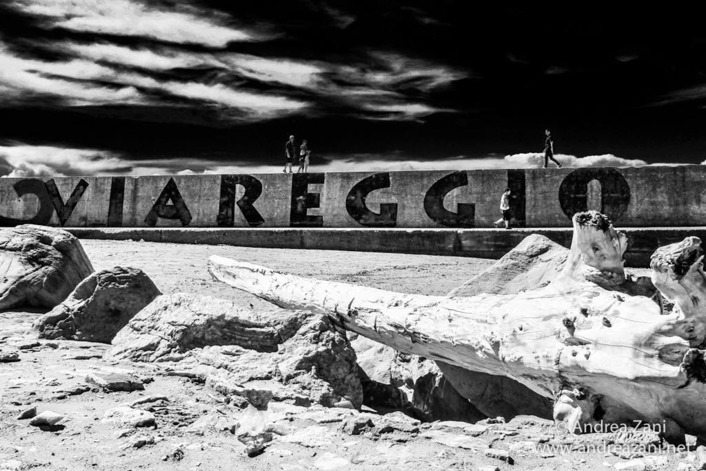 Sol&Mare Hotel Viareggio Ngoại thất bức ảnh